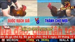 Trận 10 CPC5 21/11/2025 - Điều Cọp Anh Thành Đá Đỏ Bầm Dập Bung Chạy