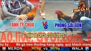 Trận 10 CPC5 23/11/2025 - Anh Tý Chùa Phục Thù Anh Phong Thành Công