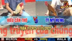 Trận 11 CPC5 7/11/2025 - Anh Hiếu Cần Thơ Và Anh Tý Mỹ Hưng