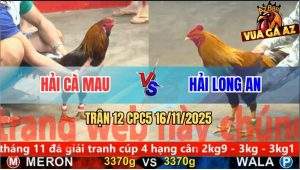 Trận 12 CPC5 16/11/2025 - Anh Hải Cà Mau Và Anh Hải Long An