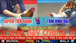Trận 12 CPC5 6/11/2025 - Gà Điều Anh Xuyên Đang Thắng Thì Quay Xe Chạy