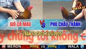 Trận 12 CPC5 7/11/2025 - Anh Gió Cà Mau Và Anh Phú Châu Thành
