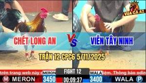 Trận 12 CPC6 5/11/2025 - Điều Vàng Anh Chét Áp Sát Đâm Xanh Lật Xe