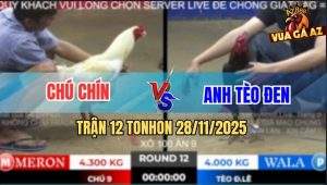 Trận 12 TonHon 28/11/2025 - Anh Bảo Sting Thất Thủ Trước Chú 9