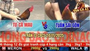 Trận 13 CPC5 24/11/2025 - Khét Chân Xanh Anh Tuấn Sài Gòn Đưa Biện Đi