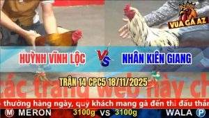 Trận 14 CPC5 18/11/2025 - Gà Điều Anh Huỳnh Vô Kính Có Chân Xạo Lờ