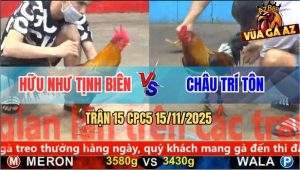 Trận 15 CPC5 15/11/2025 - Anh Hữu Như Tịnh Biên Và Anh Châu Trí Tôn
