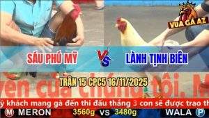 Trận 15 CPC5 16/11/2025 - Anh Sáu Phú Mỹ Và Anh Lành Tịnh Biên