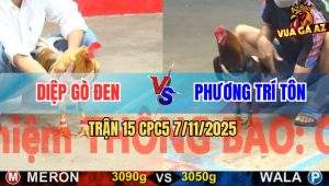 Trận 15 CPC5 7/11/2025 - Anh Diệp Gò Đen Và Anh Phương Trí Tôn