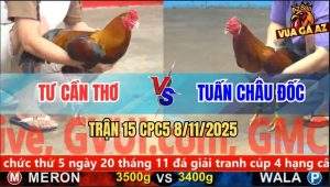 Trận 15 CPC5 8/11/2025 - Anh Tư Cần Thơ Và Anh Tuấn Châu Đốc