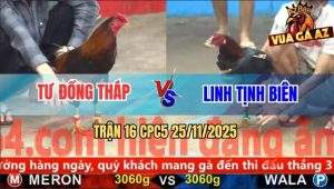 Trận 16 CPC5 25/11/2025 - Điều Né Hụt Que Để Ngay Ông Địa Nằm Xòe Đuôi