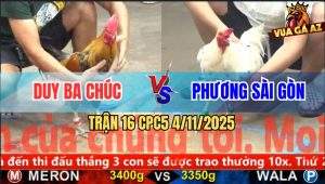 Trận 16 CPC5 4/11/2025 - Anh Duy Ba Chúc Và Anh Phương Sài Gòn