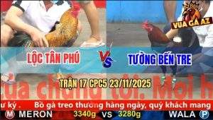 Trận 17 CPC5 23/11/2025 - Cú Kêu Điều Trả Lời, Cú Chạy Bay Bồ