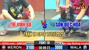 Trận 18 CPC6 7/11/2025 - Gà Điều Anh Trí Đá Đối Thủ Chỉ Biết Hú Miệng