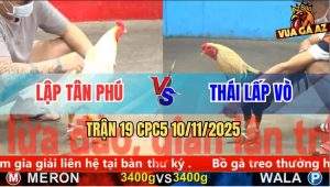 Trận 19 CPC5 10/11/2025 - Anh Lập Tân Phú Và Anh Thái Lấp Vò