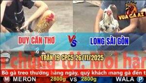 Trận 19 CPC5 26/11/2025 - Vô Trong Bướm Đá Chân Hiểm Cú Sụm Tỳ Bỏ Chạy