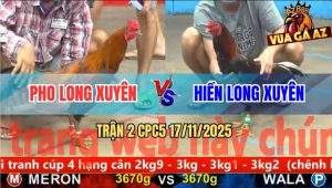 Trận 2 CPC5 17/11/2025 - Xanh Bay Qua Sút Ngay Đầu Đỏ Bật Ngửa Tại Ô