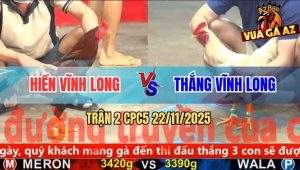 Trận 2 CPC5 22/11/2025 - Gà Điều Anh Hiền Đâm Cựa Như Như Máy Chém