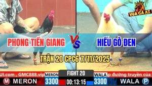 Trận 20 CPC6 7/11/2025 - Bướm Anh Hiếu Vô Trong Đứt Hơi Bỏ Miệng Hòa