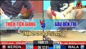 Trận 21 CPC6 4/11/2025 - Úa Hiệu Anh Gấu Đâm Gà Que Không Sót Chân Nào