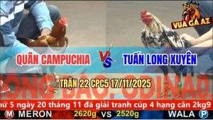 Trận 22 CPC5 17/11/2025 - Điều Bông Đá Gà Vàng Té Lên Té Xuống