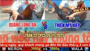 Trận 22 CPC5 26/11/2025 - Điều Cọp Anh Quang Đá 1 Hơi Xanh Tắt Điện