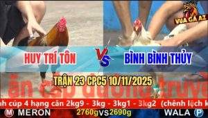 Trận 23 CPC5 10/11/2025 - Anh Huy Trí Tôn Và Anh Bình Bình Thủy