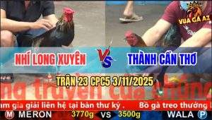 Trận 23 CPC5 3/11/2025 - Anh Nhí Long Xuyên Và Anh Thành Cần Thơ