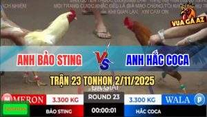 Trận 23 TonHon 2/11/2025 - Anh Bảo Sting Gặp Anh Hắc CoCa