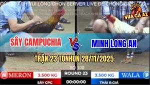 Trận 23 TonHon 28/11/2025 - Điều Cọp Chú Lũy Đâm Bướm Mà Minh Nát Bét