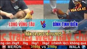 Trận 24 CPC5 18/11/2025 - Gà Điều Gãy Cánh Gồng Tang Hòa Quá Đẳng Câp