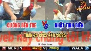 Trận 24 CPC5 7/11/2025 - Anh Cường Bến Tre Và Anh Nhật Tịnh Biên