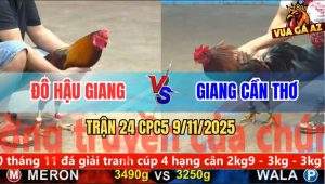 Trận 24 CPC5 9/11/2025 - Anh Đô Hậu Giang Và Anh Giang Cần Thơ