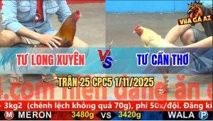 Trận 25 CPC5 1/11/2025 - Anh Tư Long Xuyên Và Anh Tư Cần Thơ