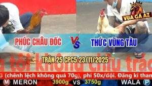 Trận 25 CPC5 23/11/2025 - Điều Đá 1 Tăng Gạt Giò Bướm Hiệu Anh Thức