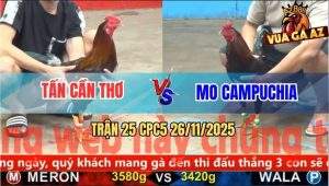 Trận 25 CPC5 26/11/2025 - Gà Điều Giã Gục Gà Xanh Trong Một Tay Nước