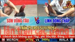 Trận 25 CPC5 5/11/2025 - Anh Sơn Vũng Tàu Và Anh Linh Đồng Tháp