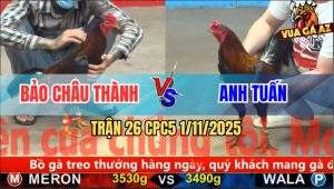 Trận 26 CPC5 1/11/2025 - Anh Bảo Châu Thành Và Anh Tuấn