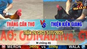 TRAN 26 CPC5 5112025 min