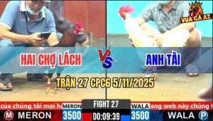 Trận 27 CPC6 5/11/2025 - Bướm Mồng Lá Bú Điều Dâu Không Kịp Ngáp