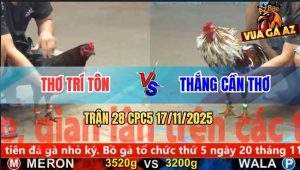 Trận 28 CPC5 17/11/2025 - Que Mặt Râu Anh Thơ Tiễn Điều Bông Nhập Thổ