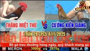 Trận 28 CPC5 4/11/2025 - Anh Thắng Miệt Thứ Và Anh Cường Kiên Giang