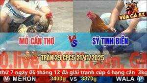 Trận 29 CPC5 21/11/2025 - Điều Chân Xanh Anh Sỹ Đâm Không Xót Chân Nào