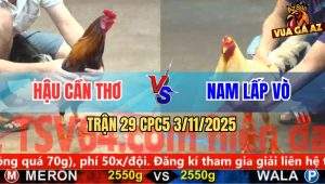 Trận 29 CPC5 3/11/2025 - Anh Hậu Cần Thơ Và Anh Nam Lấp Vò