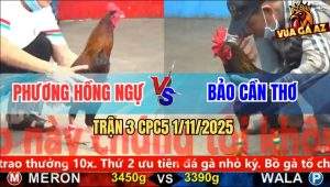 Trận 3 CPC5 1/11/2025 - Anh Phương Hồng Ngự Và Anh Bảo Cần Thơ