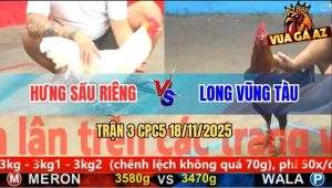 Trận 3 CPC5 18/11/2025 - Que Cọp Anh Hưng Đâm Úa Gãy Chân Đứng Hết Nổi