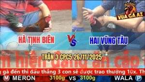 Trận 3 CPC5 26/11/2025 - Điều Anh Hà Nuốt Ói Đâm Điều Xanh Bung Chạy