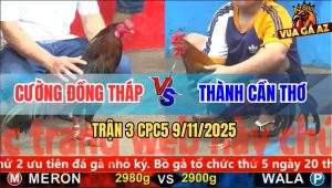 Trận 3 CPC5 9/11/2025 - Anh Cường Đồng Tháp Và Anh Thành Cần Thơ