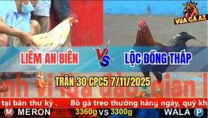 Trận 30 CPC5 7/11/2025 - Anh Liêm An Biên Và Anh Lộc Đồng Tháp