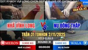 Trận 31 TonHon 2/11/2025 - Tài Nghệ Anh Bảo Sting Cũng Lắc Đầu